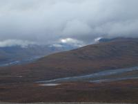 Tagestour in den Denali-Nationalpark