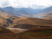 Tagestour in den Denali-Nationalpark