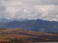 Tagestour in den Denali-Nationalpark