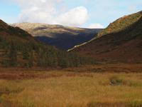 Tagestour in den Denali-Nationalpark