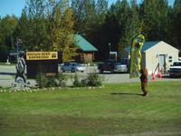 Fahrt nach Anchorage - tanzender Bär