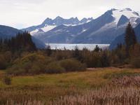Ausflug in Juneau - Mendenhall Gletscher
