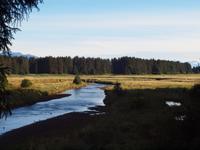 Ausflug Icy Strait Point