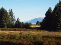 Ausflug Icy Strait Point