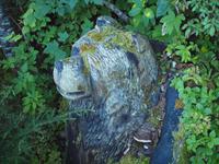 Ausflug Icy Strait Point