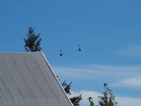 Ausflug Icy Strait Point