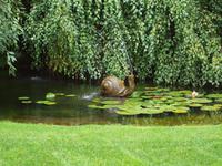 Ausflug nach Vancouver Island - Butchart Gardens