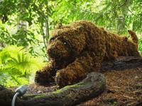 Ausflug nach Vancouver Island - Butchart Gardens