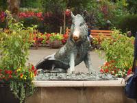 Ausflug nach Vancouver Island - Butchart Gardens