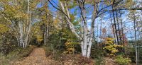126 Wanderung am Lac Taureau