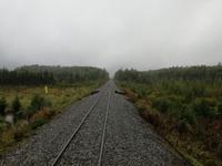 Zugfahrt mit dem Denali Star