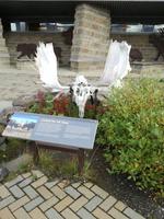 Tagestour in den Denali-Nationalpark - Eielson Visitor Center