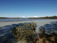 Fahrt nach Anchorage - Mount Denali