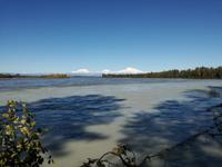 Fahrt nach Anchorage - Mount Denali, Mount Hunter und Mount Foraker (v.r.n.l.)