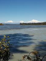 Fahrt nach Anchorage - Mount Denali, Mount Hunter und Mount Foraker (v.r.n.l.)