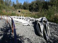 Anchorage - Alaska Native Heritage Center