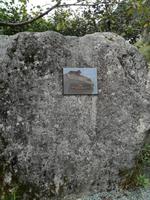 Ausflug in Juneau - Mendenhall Gletscher