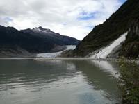 Ausflug in Juneau - Mendenhall Gletscher