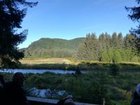 Ausflug Icy Strait Point