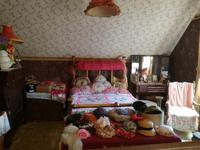 Ausflug in Ketchikan - Stadtbesichtigung - Dollys House