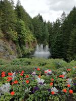 Ausflug nach Vancouver Island - Butchart Gardens