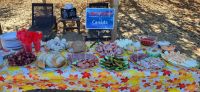127 Umtrunk mit Picknick für unsere Gäste