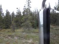 2 Woelfe am verschwinden ! 