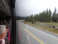 wo ist denn hier der  Zebrastreifen ?