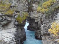 Athabasca Schlucht