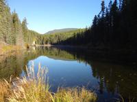 Grenze Alberta/British Columbia