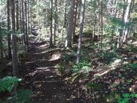 unser Pfad entlang des Flusses