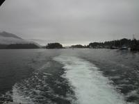 wir verlassen Tofino