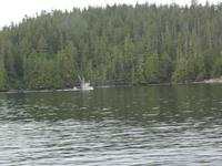 ein Berufsfischer ist unterwegs