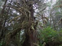 Vorbereitung auf Halloween ? 