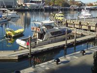 unser Walbeobachtungsschiff in Victoria