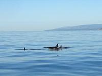 zwei Schwestern mit einem Baby