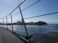 Race Rocks mit seinen Seeloewen