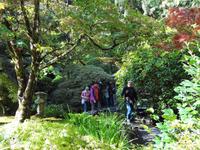 Gang durch den japanischen Garten
