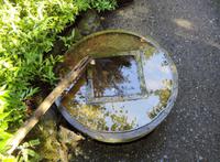 der Kreis und das Quadrat ...