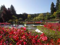 der franzoesische Garten