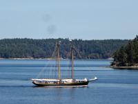 der Doppelmaster. Wir sind auf der Faehre ! 
