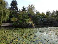 im chinesischen Garten in Vancouver Chinatown