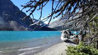 Bow Lake