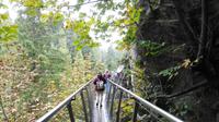 Capilano Suspension Bridge Park