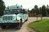 Unser Empfangskomitee