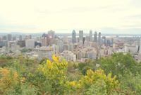 Blick vom Mont Royal auf Montréal