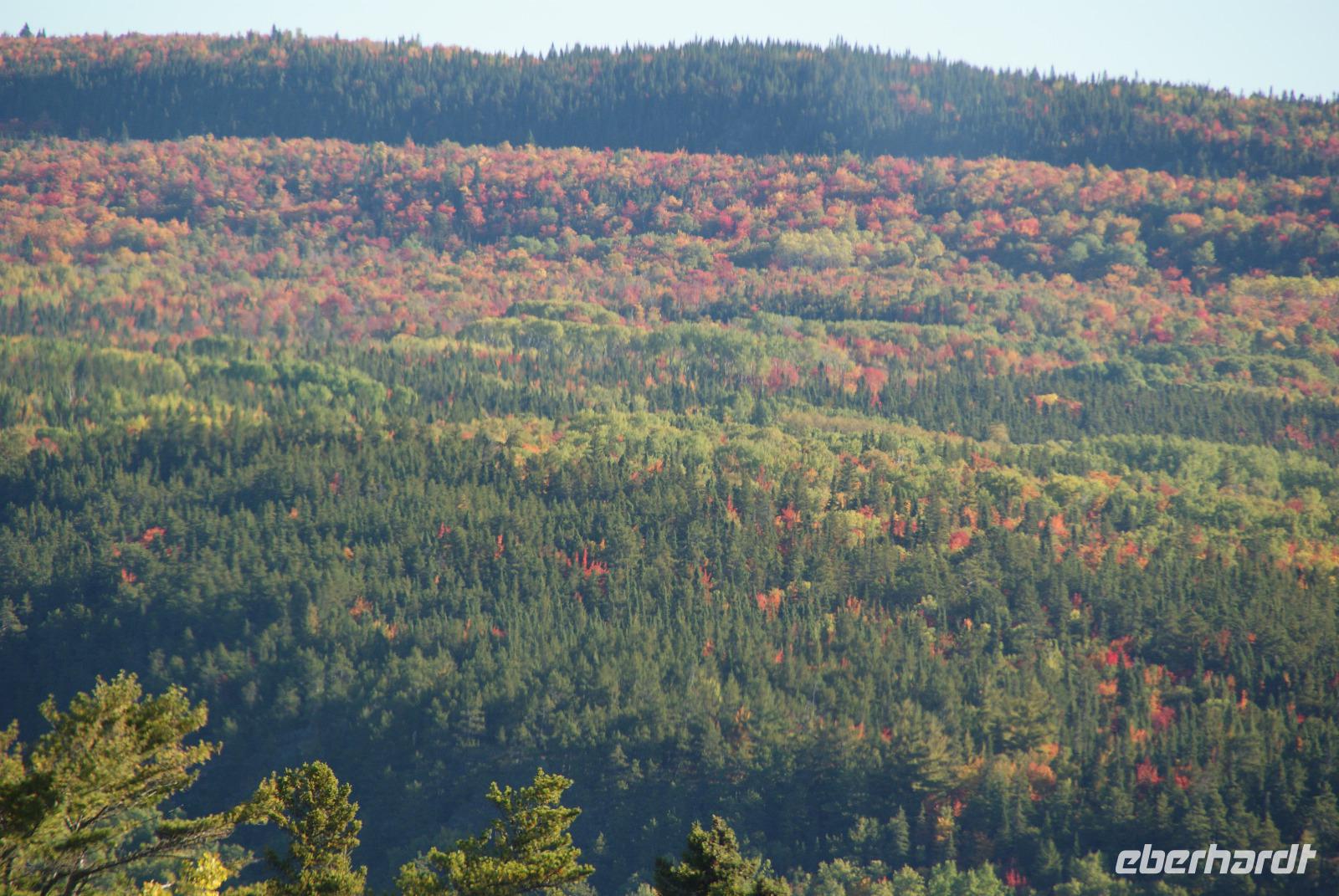 Indian Summer in voller Pracht-jeden Tag noch schöner!