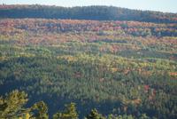Indian Summer in voller Pracht-jeden Tag noch schöner!