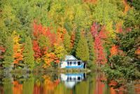 Unser Haus am See-wer hätte es nicht gerne?