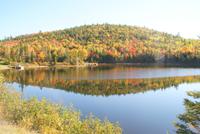 Indian Summer in voller Pracht